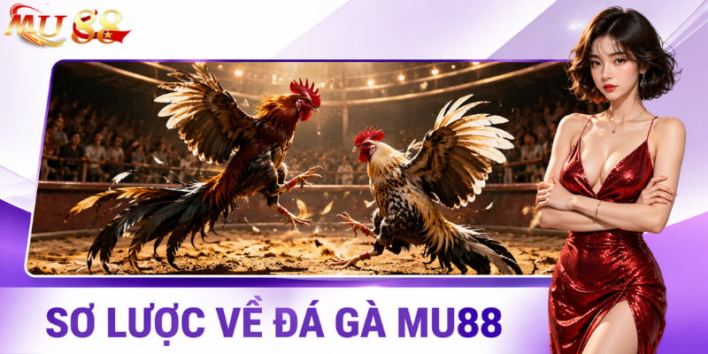 Sơ lược về sảnh đá gà